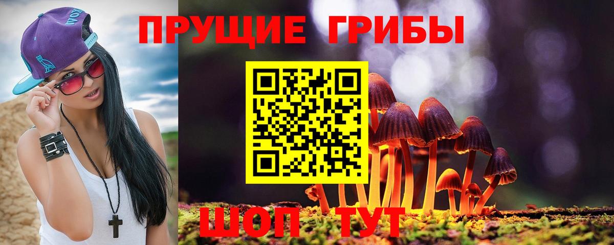 Галлюциногенные грибы Cubensis  цена   Лесной  Вход с VPN 
